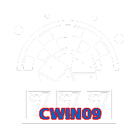 CWIN09